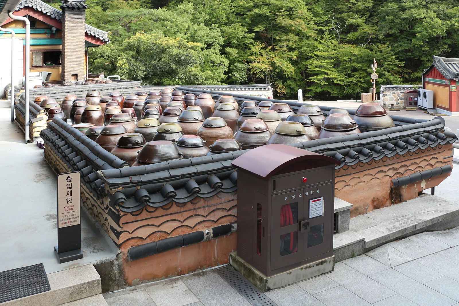 Rows of traditional Korean onggi fermentation jars standing together at Tongdosa Temple in Yangsan